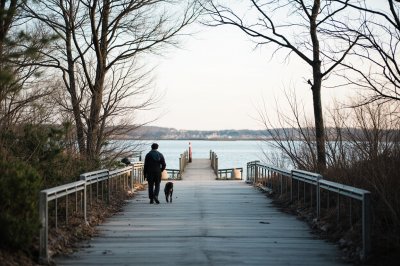 AI-generated travel thumbnail for North Westport