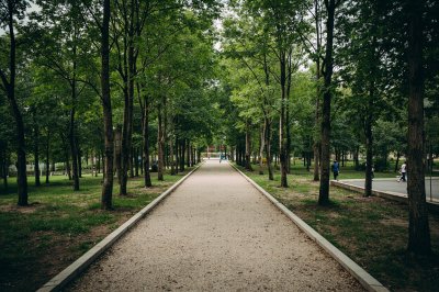 AI-generated travel thumbnail for Nova Odesa
