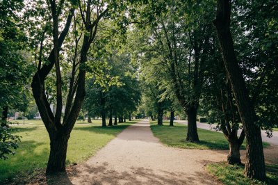 AI-generated travel thumbnail for Novoblagodarnoye