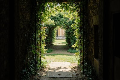 AI-generated travel thumbnail for Nuits-Saint-Georges