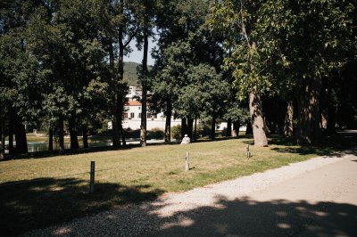 AI-generated travel thumbnail for Ogliastro Cilento