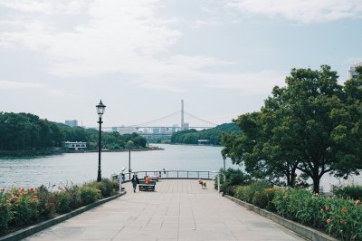 AI-generated travel thumbnail for Ōita