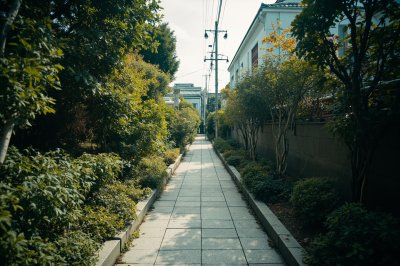 AI-generated travel thumbnail for Ōnojō Shi