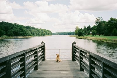 AI-generated travel thumbnail for Onondaga County
