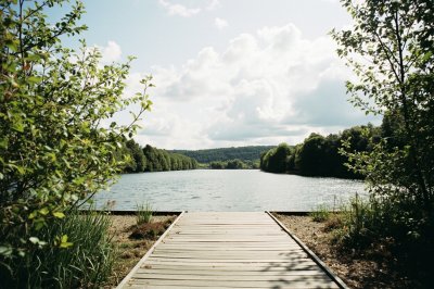 AI-generated travel thumbnail for Oosterpark