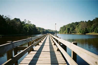 AI-generated travel thumbnail for Orangeburg County