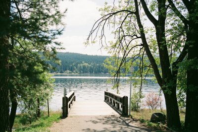 AI-generated travel thumbnail for Orchards