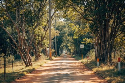 AI-generated travel thumbnail for Otjiwarongo