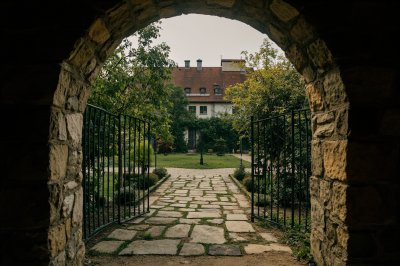 AI-generated travel thumbnail for Pădurea Neagră