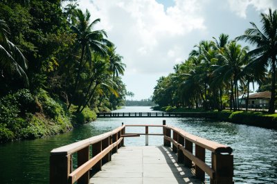 AI-generated travel thumbnail for Pāpa‘ikou