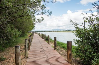 AI-generated travel thumbnail for Paraje la Pera