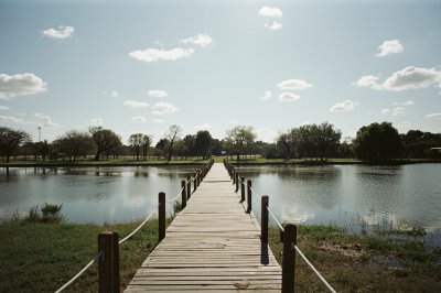 AI-generated travel thumbnail for Peña Flores (Palo Verde)