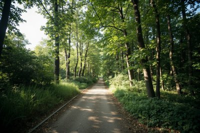 AI-generated travel thumbnail for Petershagen