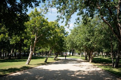 AI-generated travel thumbnail for Piedralaves