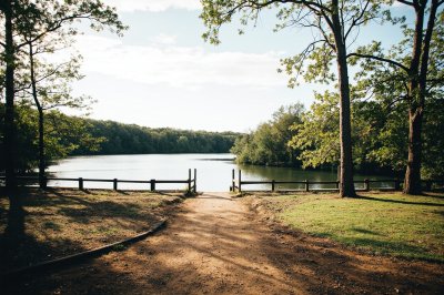 AI-generated travel thumbnail for Prairie Creek