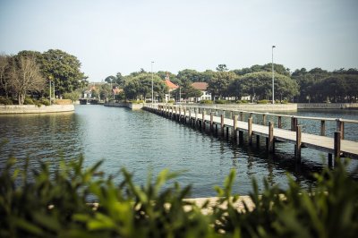 AI-generated travel thumbnail for Prior Velho
