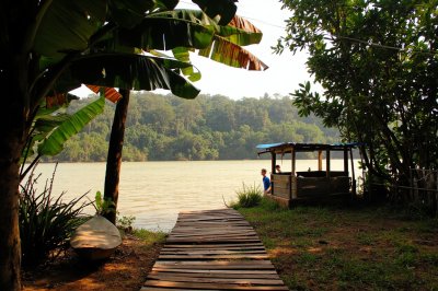 AI-generated travel thumbnail for Provincia Chaparé