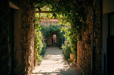 AI-generated travel thumbnail for Provincia de La Rioja