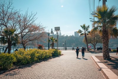 AI-generated travel thumbnail for Provincia de Tumbes