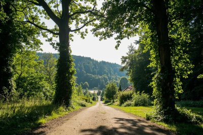 AI-generated travel thumbnail for Rabenau