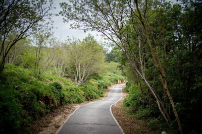 AI-generated travel thumbnail for Randburg