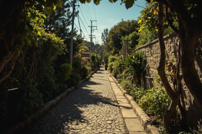 AI-generated travel thumbnail for Roque Pérez