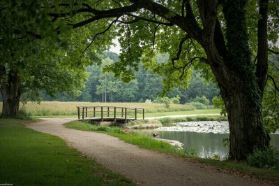 AI-generated travel thumbnail for Rötgesbüttel