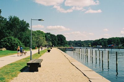 AI-generated travel thumbnail for Saint-André-de-Seignanx