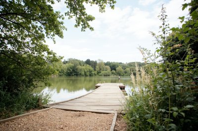 AI-generated travel thumbnail for Saint-Ouen-des-Alleux