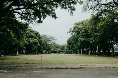 AI-generated travel thumbnail for Salvacion
