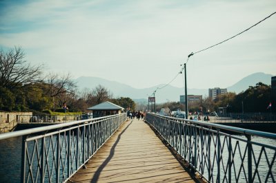 AI-generated travel thumbnail for San Martín de Loba