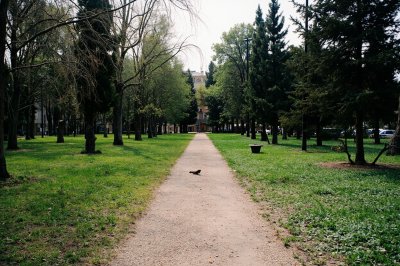 AI-generated travel thumbnail for San Martín del Pimpollar