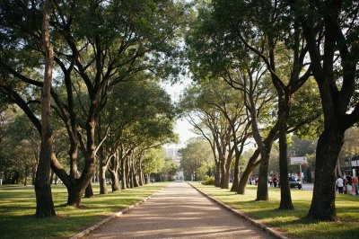 AI-generated travel thumbnail for San Nicolás