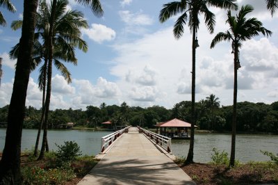 AI-generated travel thumbnail for San Pablo Viejo Abajo