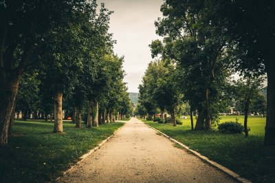 AI-generated travel thumbnail for San Venanzo