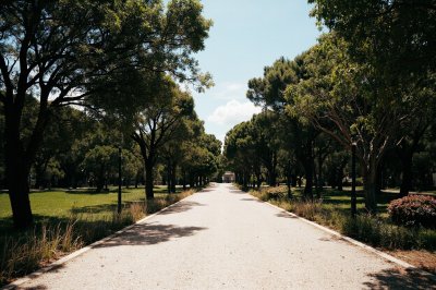 AI-generated travel thumbnail for Sant'Alessio in Aspromonte