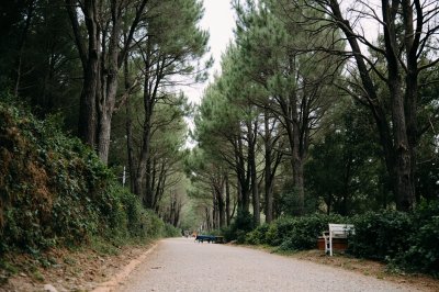 AI-generated travel thumbnail for Sant'Eufemia d'Aspromonte