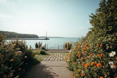 AI-generated travel thumbnail for Schiermonnikoog