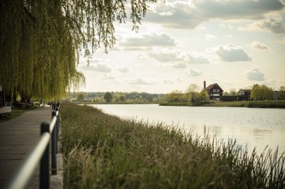 AI-generated travel thumbnail for Schwarmstedt