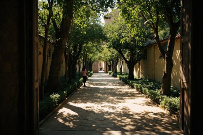 AI-generated travel thumbnail for Settefrati