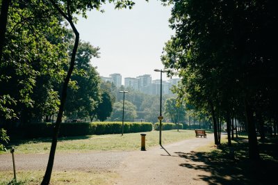 AI-generated travel thumbnail for Shaping