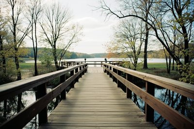 AI-generated travel thumbnail for Shelby County