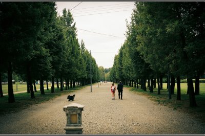AI-generated travel thumbnail for Shirakamut
