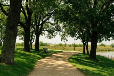 AI-generated travel thumbnail for South Chicago Heights