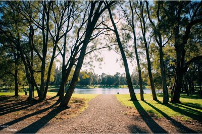 AI-generated travel thumbnail for Spotswood