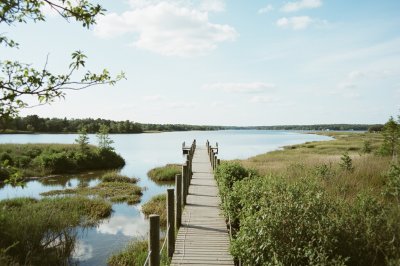 AI-generated travel thumbnail for Suffolk County