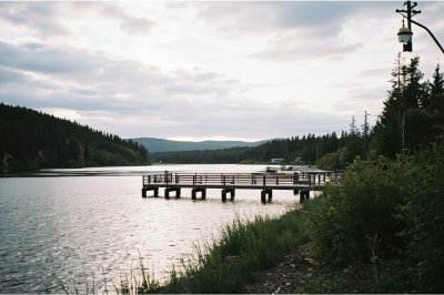 AI-generated travel thumbnail for Terrasse-des-Pins