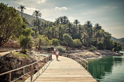 AI-generated travel thumbnail for Theniet el Had