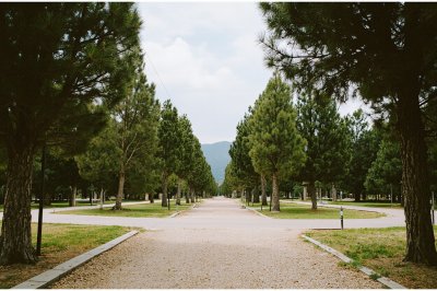 AI-generated travel thumbnail for Torrecilla de Alcañiz