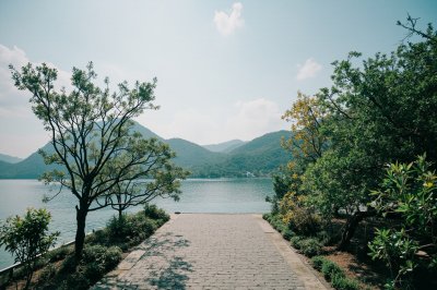 AI-generated travel thumbnail for Tsuen Wan